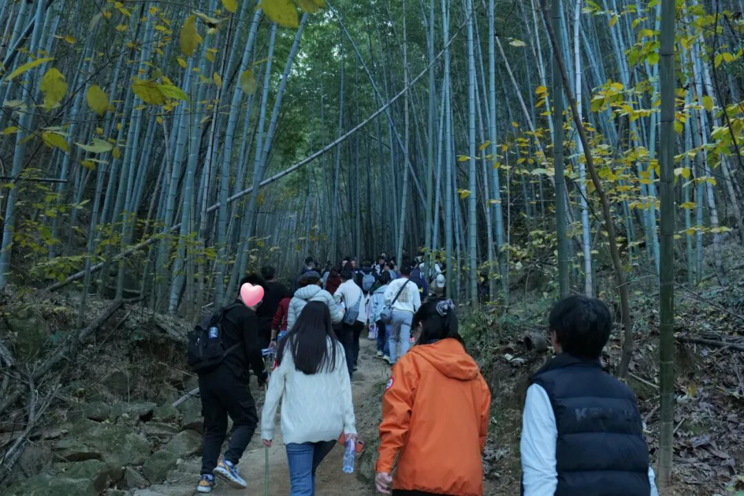 111319-342536.png 111319-342536.png