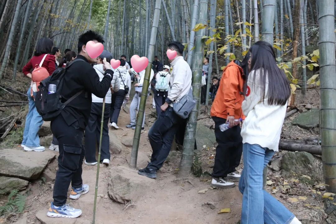 111320-331173.png 111320-331173.png