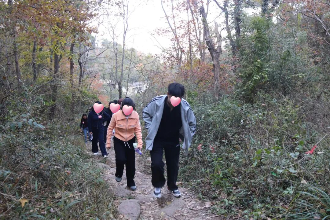 111324-490583.png 111324-490583.png